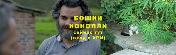 первитин Гусев