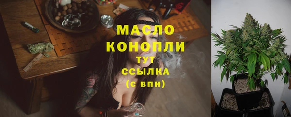 первитин Гусев