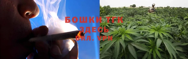 первитин Гусев