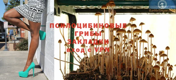 круглые Гусиноозёрск
