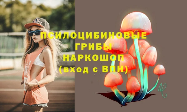 первитин Гусев